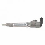 BOSCH 0445110001 injector